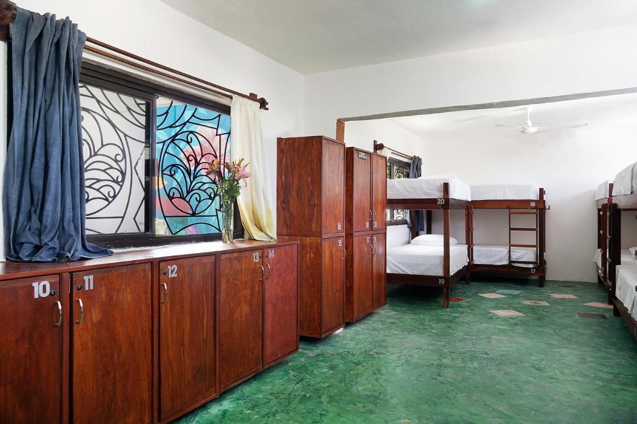 Red Panda Hostal Πλάγια Ντελ Κάρμεν Εξωτερικό φωτογραφία