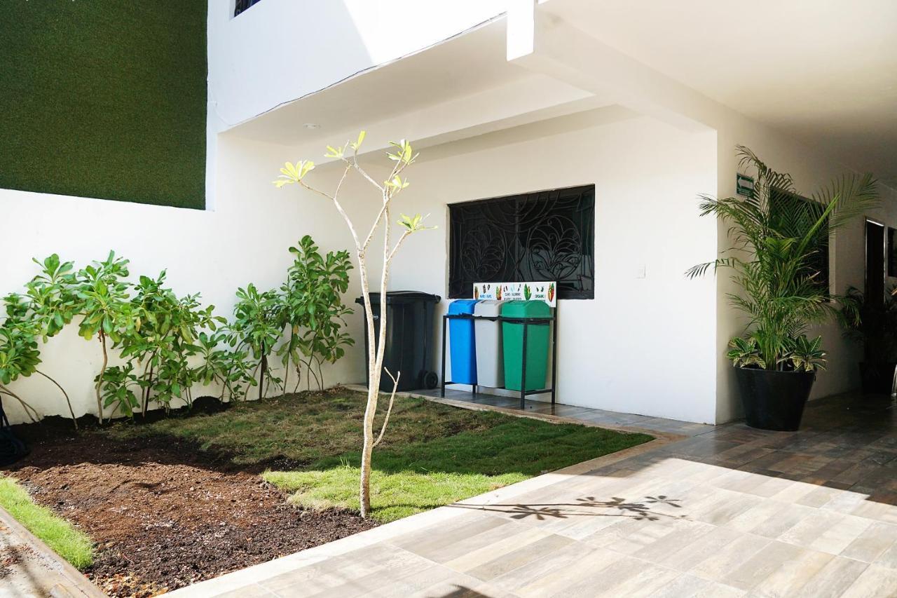 Red Panda Hostal Πλάγια Ντελ Κάρμεν Εξωτερικό φωτογραφία