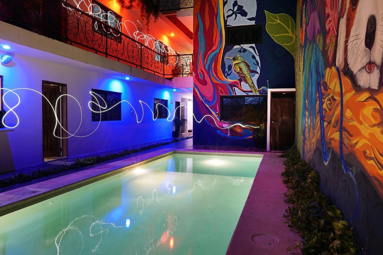 Red Panda Hostal Πλάγια Ντελ Κάρμεν Εξωτερικό φωτογραφία