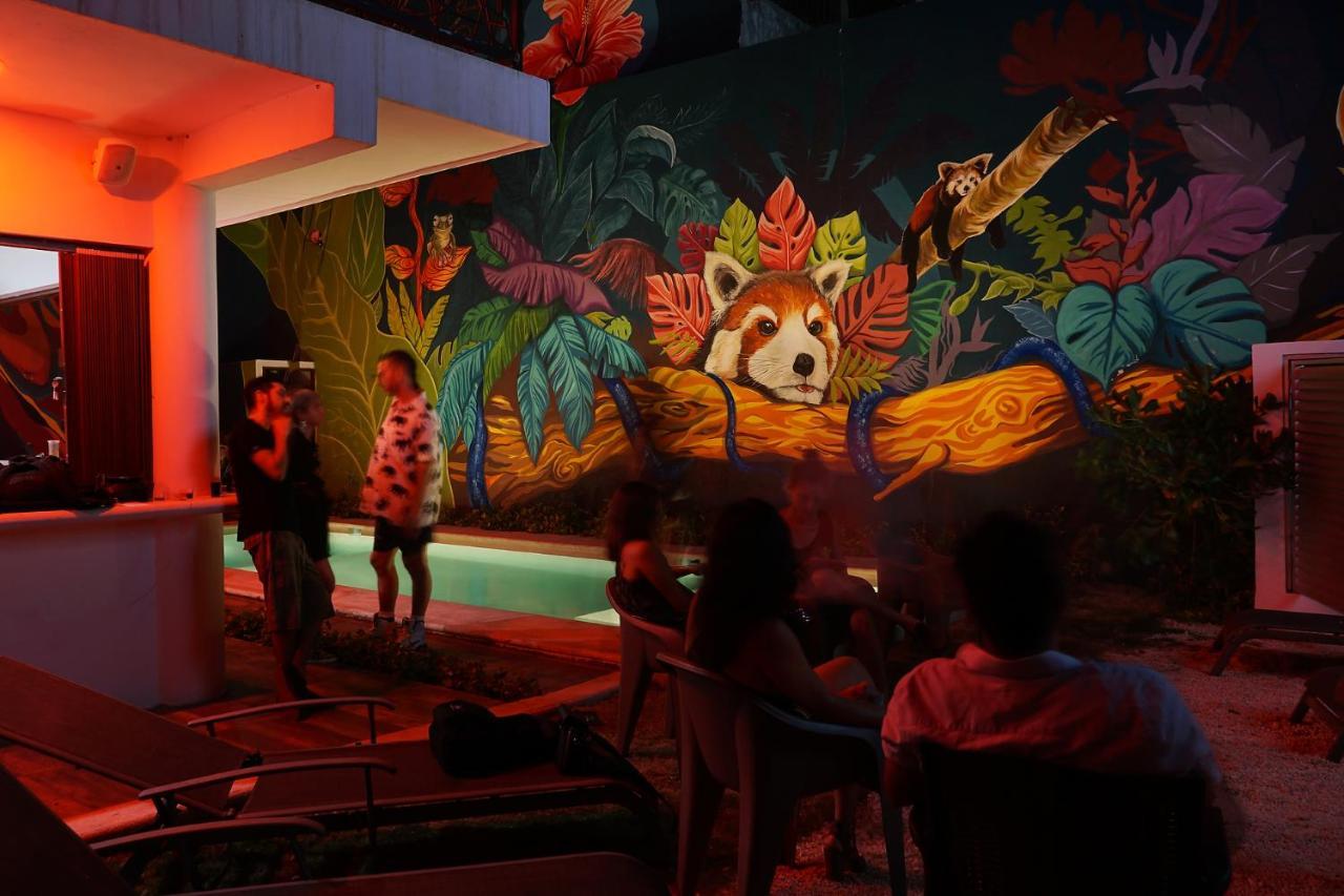 Red Panda Hostal Πλάγια Ντελ Κάρμεν Εξωτερικό φωτογραφία