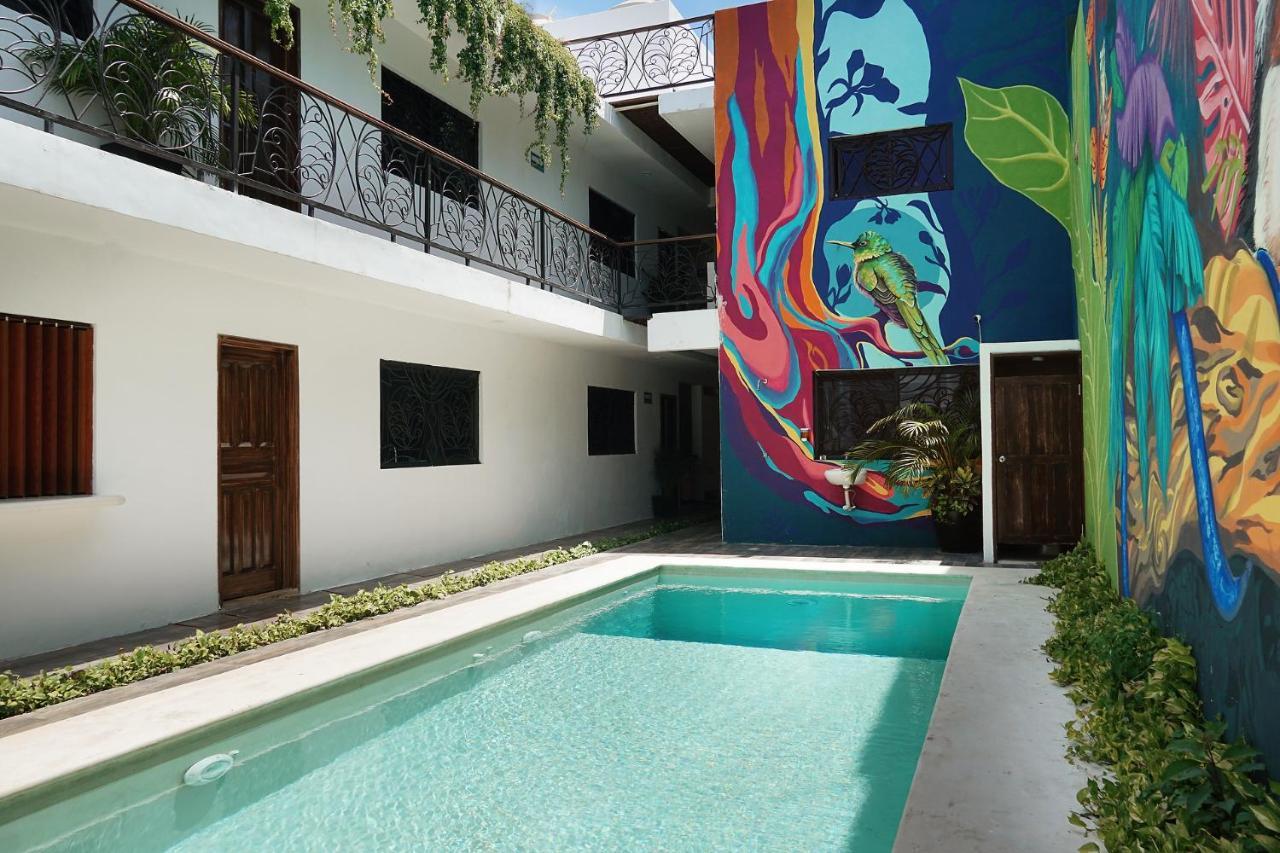 Red Panda Hostal Πλάγια Ντελ Κάρμεν Εξωτερικό φωτογραφία