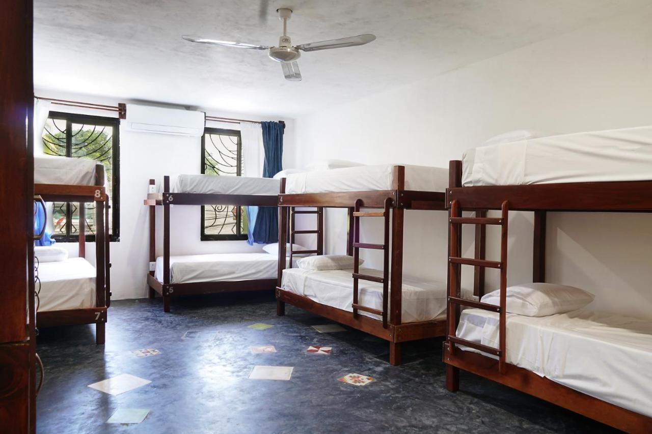 Red Panda Hostal Πλάγια Ντελ Κάρμεν Εξωτερικό φωτογραφία