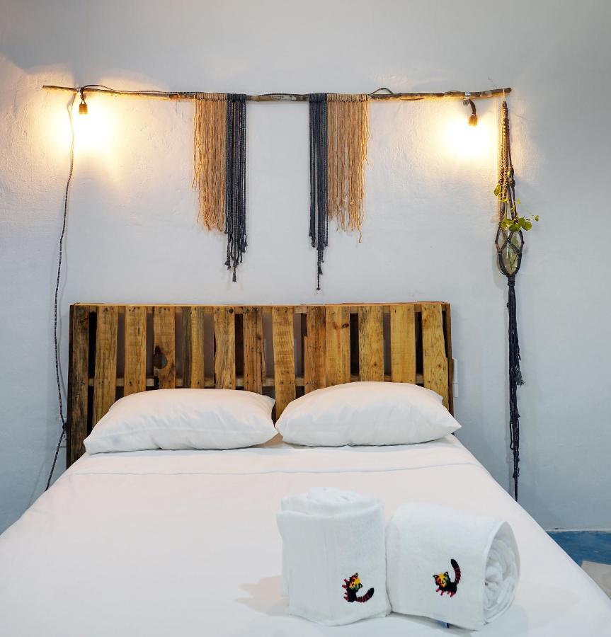 Red Panda Hostal Πλάγια Ντελ Κάρμεν Εξωτερικό φωτογραφία