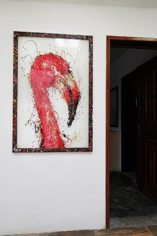 Red Panda Hostal Πλάγια Ντελ Κάρμεν Εξωτερικό φωτογραφία