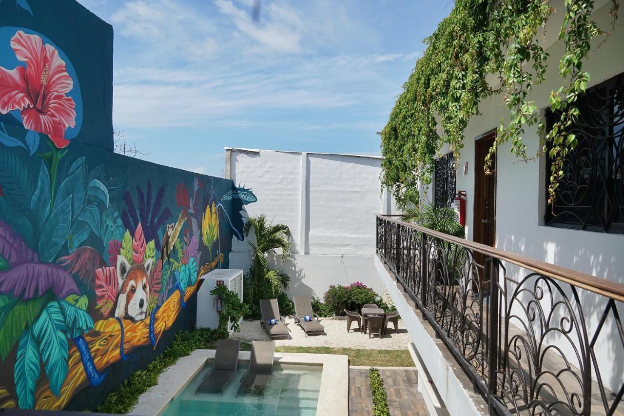 Red Panda Hostal Πλάγια Ντελ Κάρμεν Εξωτερικό φωτογραφία