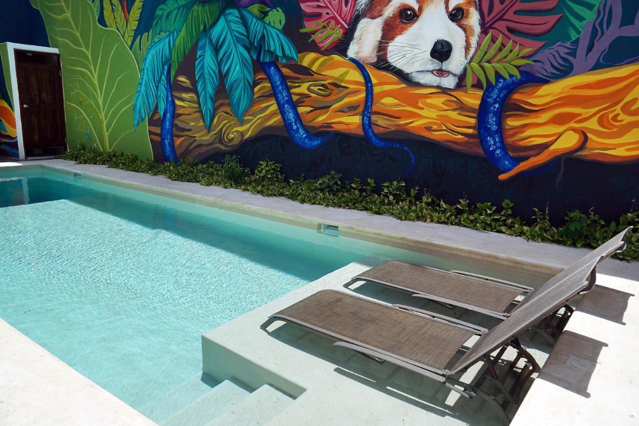 Red Panda Hostal Πλάγια Ντελ Κάρμεν Εξωτερικό φωτογραφία