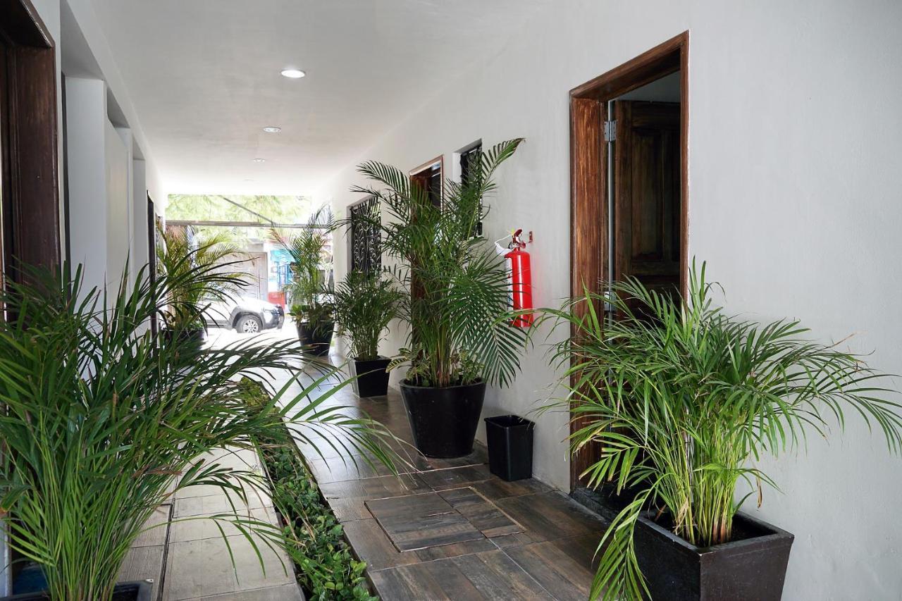 Red Panda Hostal Πλάγια Ντελ Κάρμεν Εξωτερικό φωτογραφία