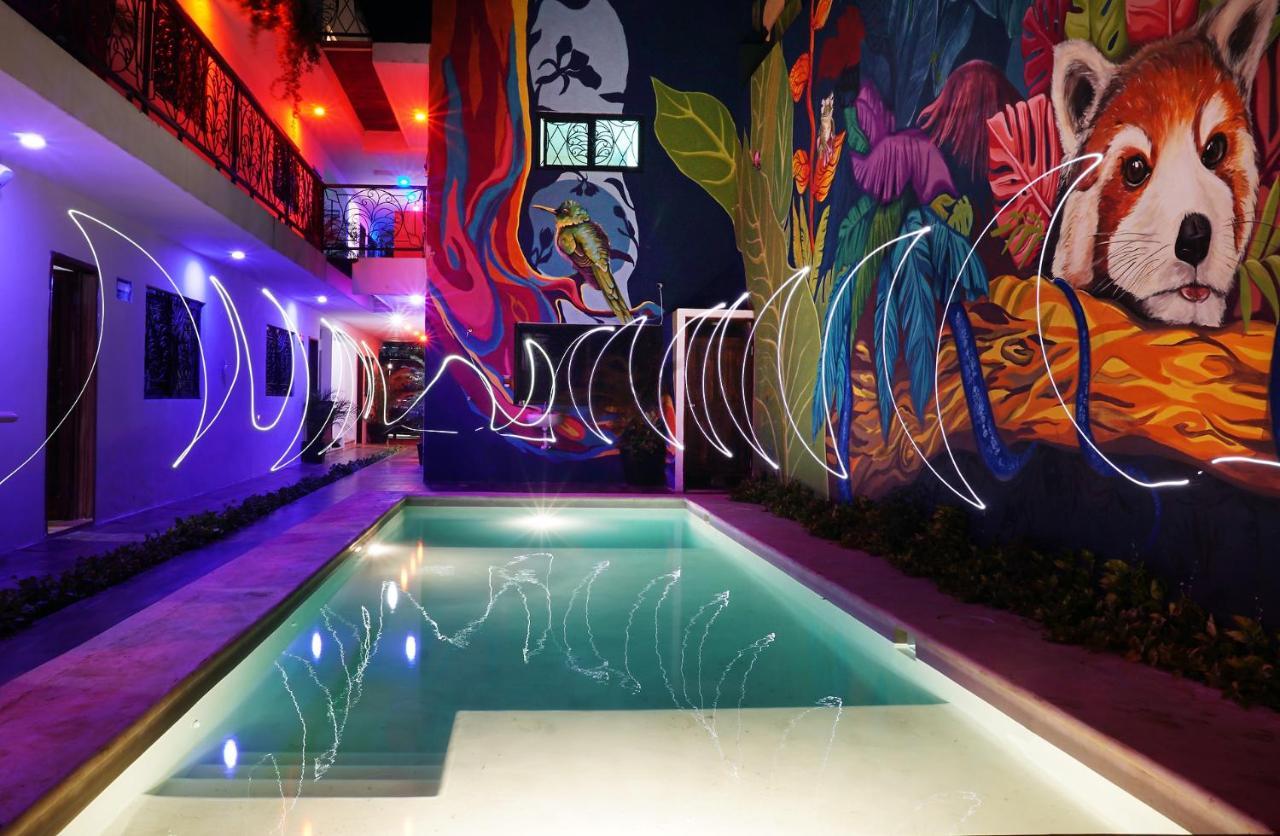 Red Panda Hostal Πλάγια Ντελ Κάρμεν Εξωτερικό φωτογραφία