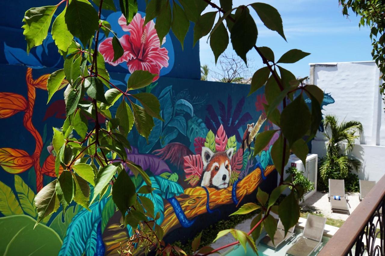 Red Panda Hostal Πλάγια Ντελ Κάρμεν Εξωτερικό φωτογραφία