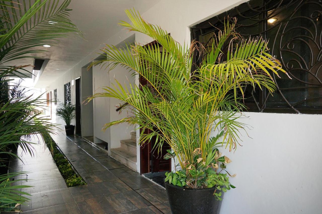 Red Panda Hostal Πλάγια Ντελ Κάρμεν Εξωτερικό φωτογραφία