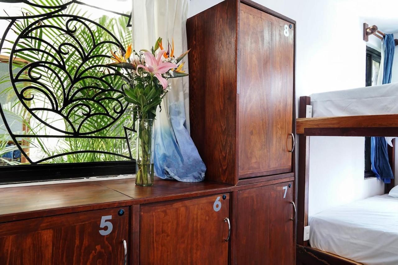 Red Panda Hostal Πλάγια Ντελ Κάρμεν Εξωτερικό φωτογραφία
