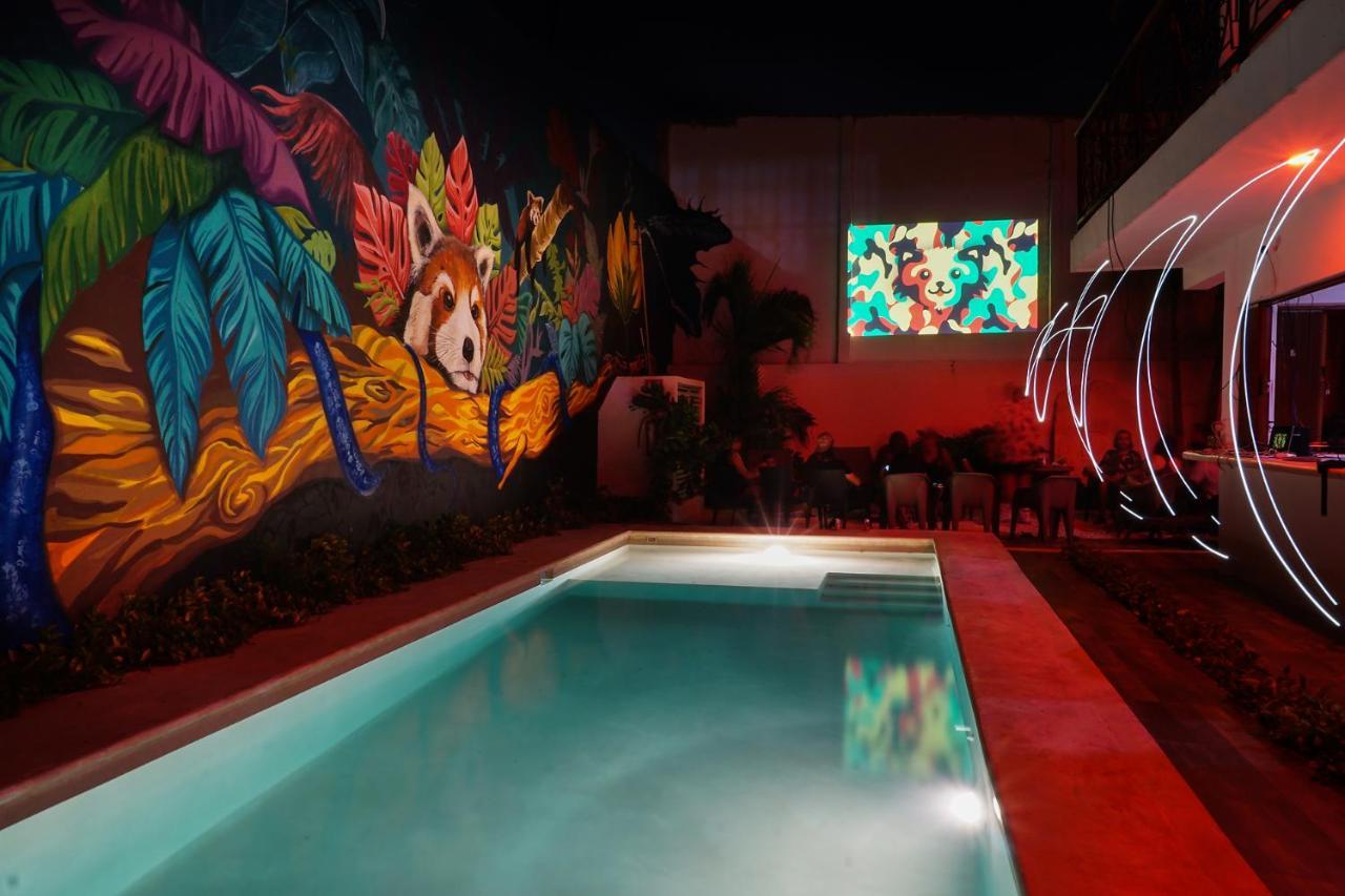 Red Panda Hostal Πλάγια Ντελ Κάρμεν Εξωτερικό φωτογραφία