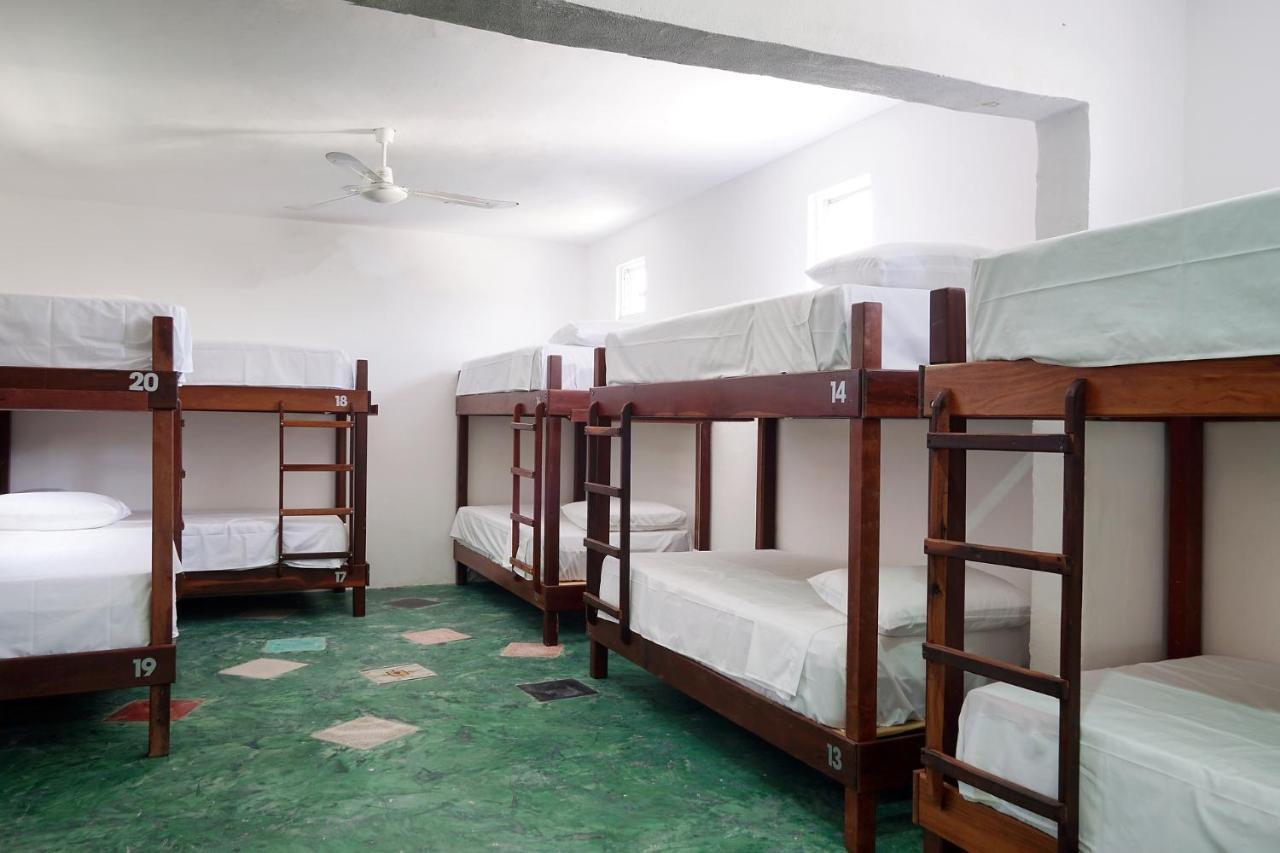 Red Panda Hostal Πλάγια Ντελ Κάρμεν Εξωτερικό φωτογραφία