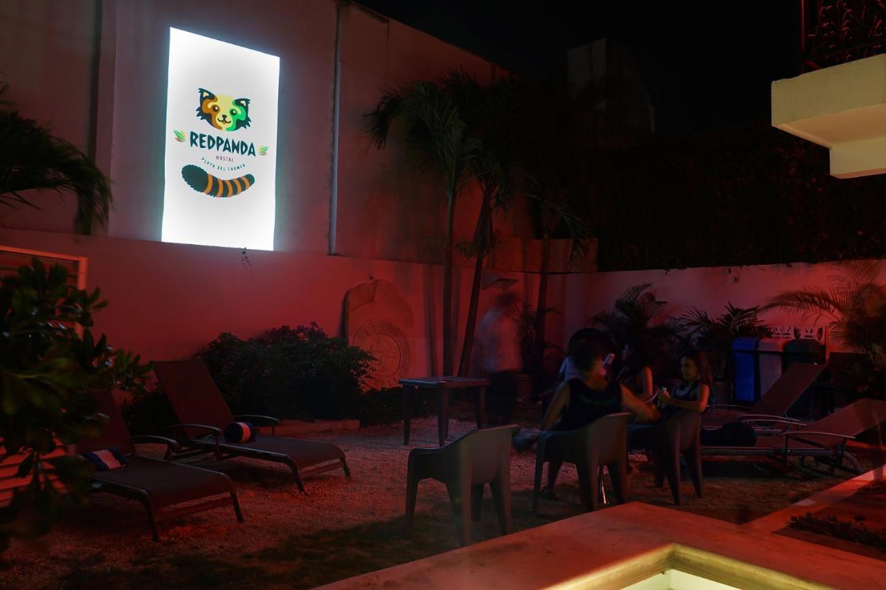 Red Panda Hostal Πλάγια Ντελ Κάρμεν Εξωτερικό φωτογραφία