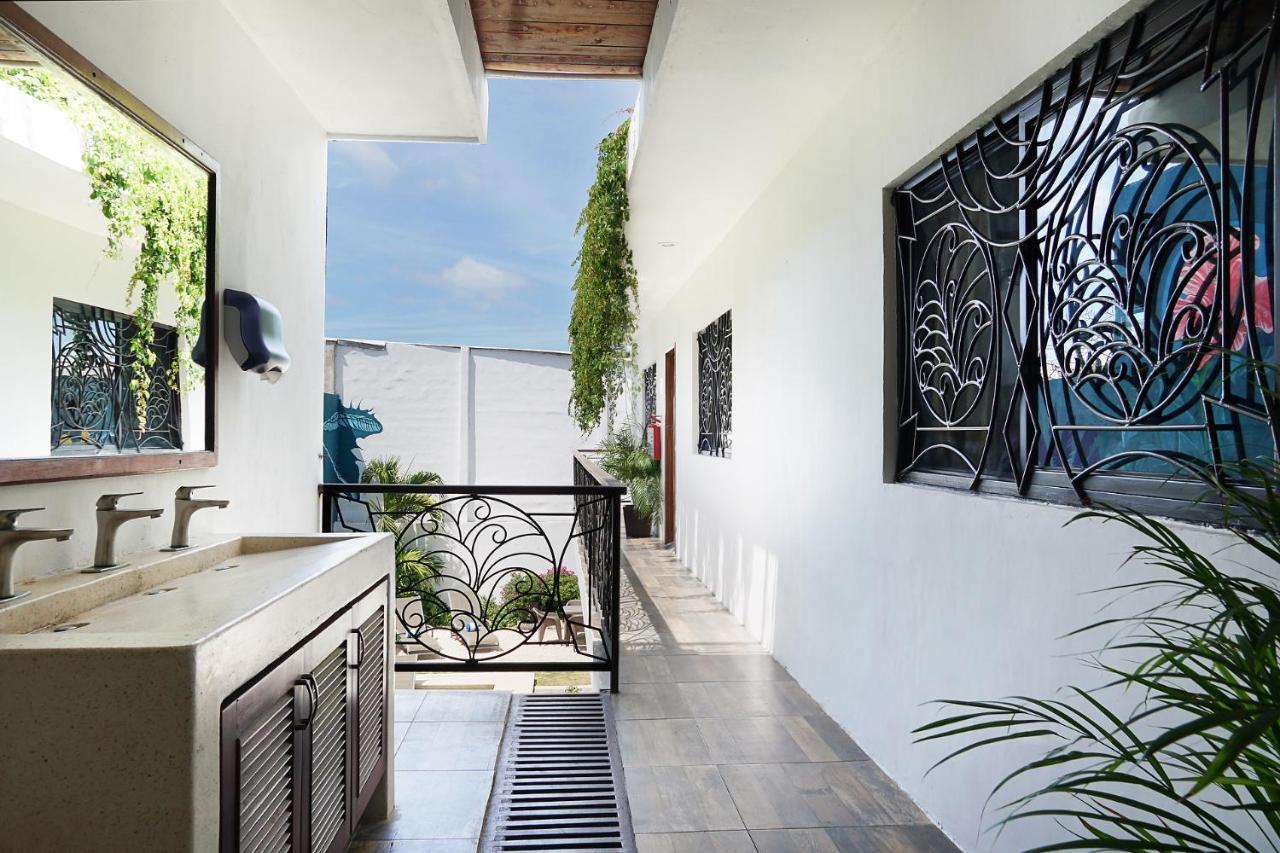 Red Panda Hostal Πλάγια Ντελ Κάρμεν Εξωτερικό φωτογραφία
