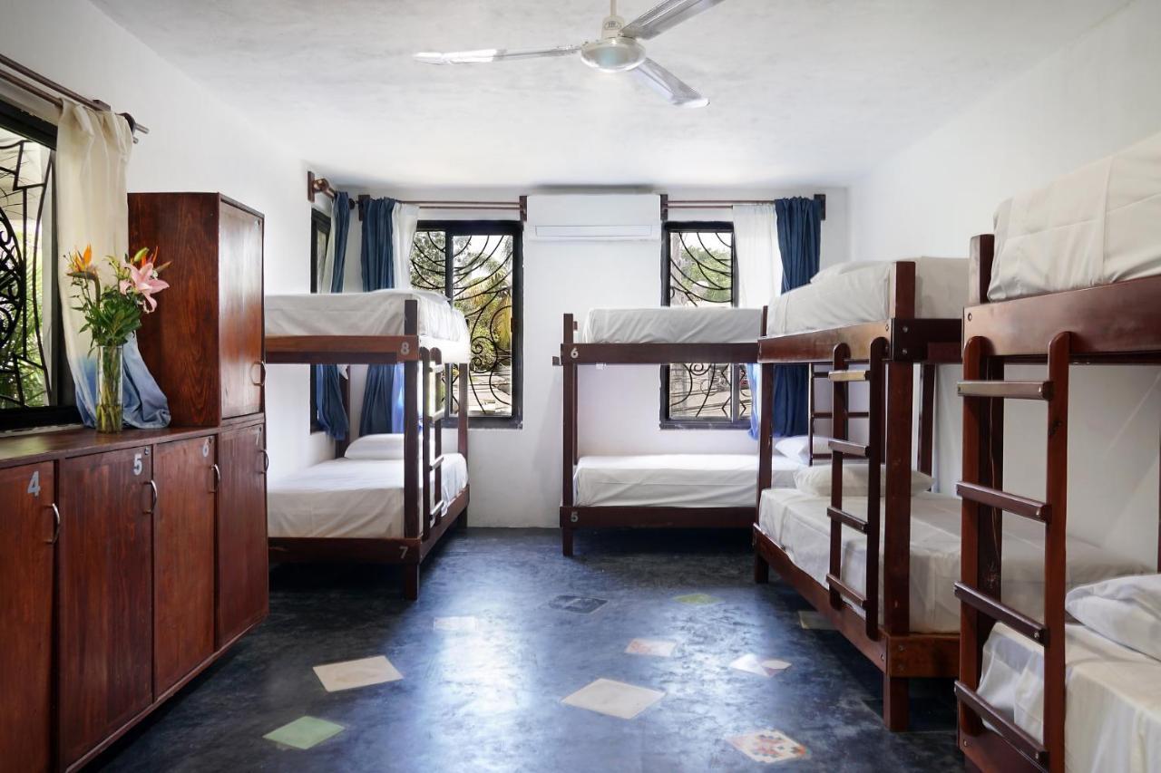 Red Panda Hostal Πλάγια Ντελ Κάρμεν Εξωτερικό φωτογραφία