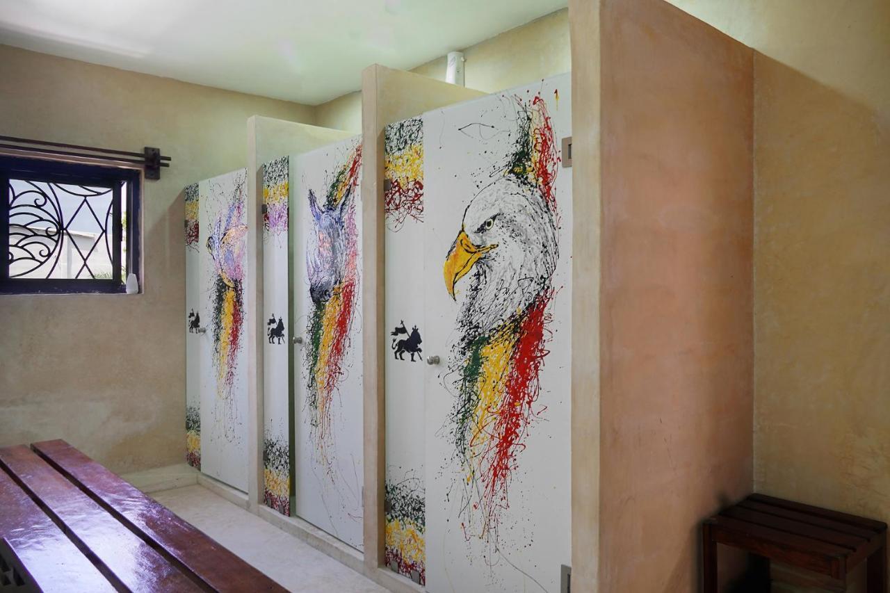 Red Panda Hostal Πλάγια Ντελ Κάρμεν Εξωτερικό φωτογραφία