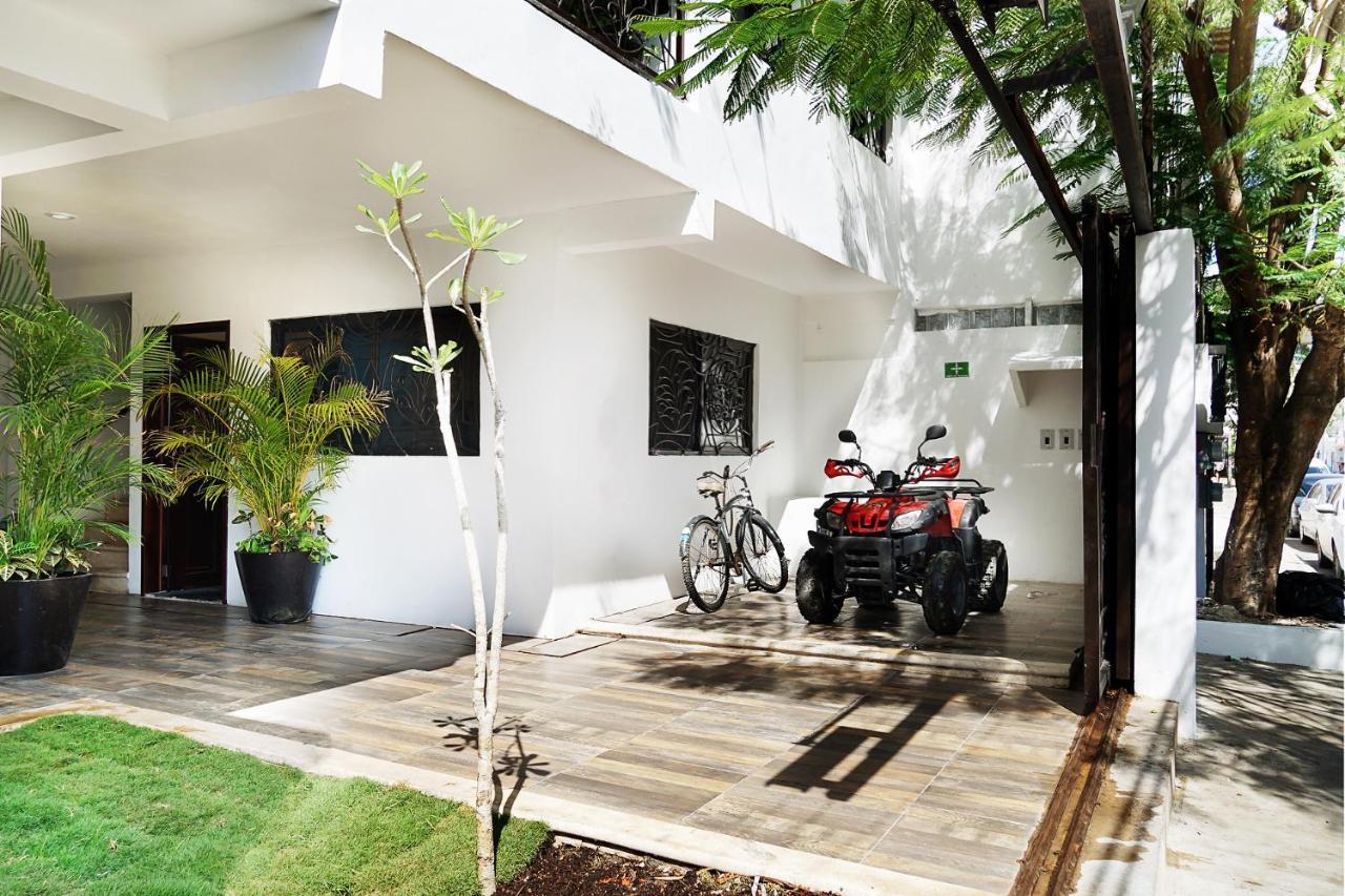Red Panda Hostal Πλάγια Ντελ Κάρμεν Εξωτερικό φωτογραφία