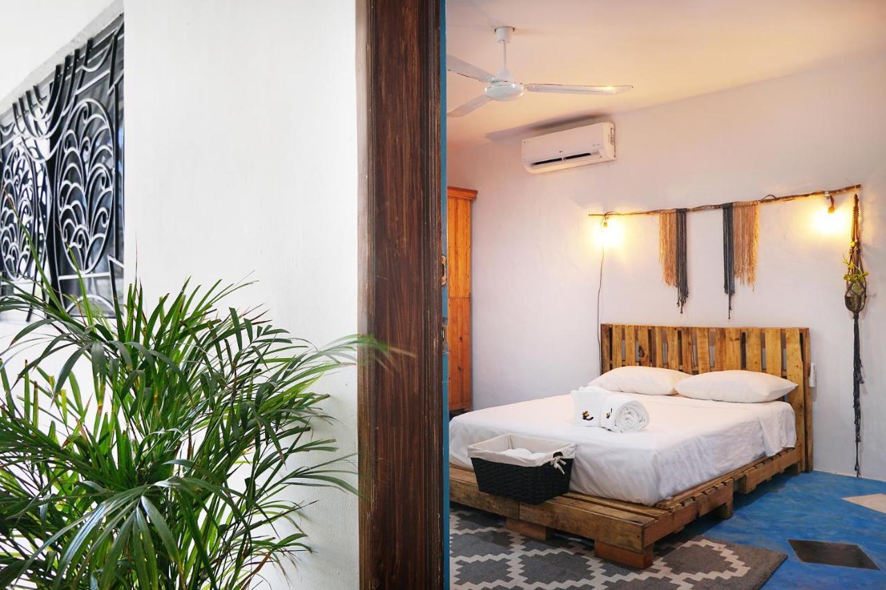 Red Panda Hostal Πλάγια Ντελ Κάρμεν Εξωτερικό φωτογραφία